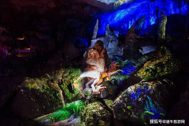 加入鸢尾可以用火山石种植吗?知识星球,探索专业并互动交流